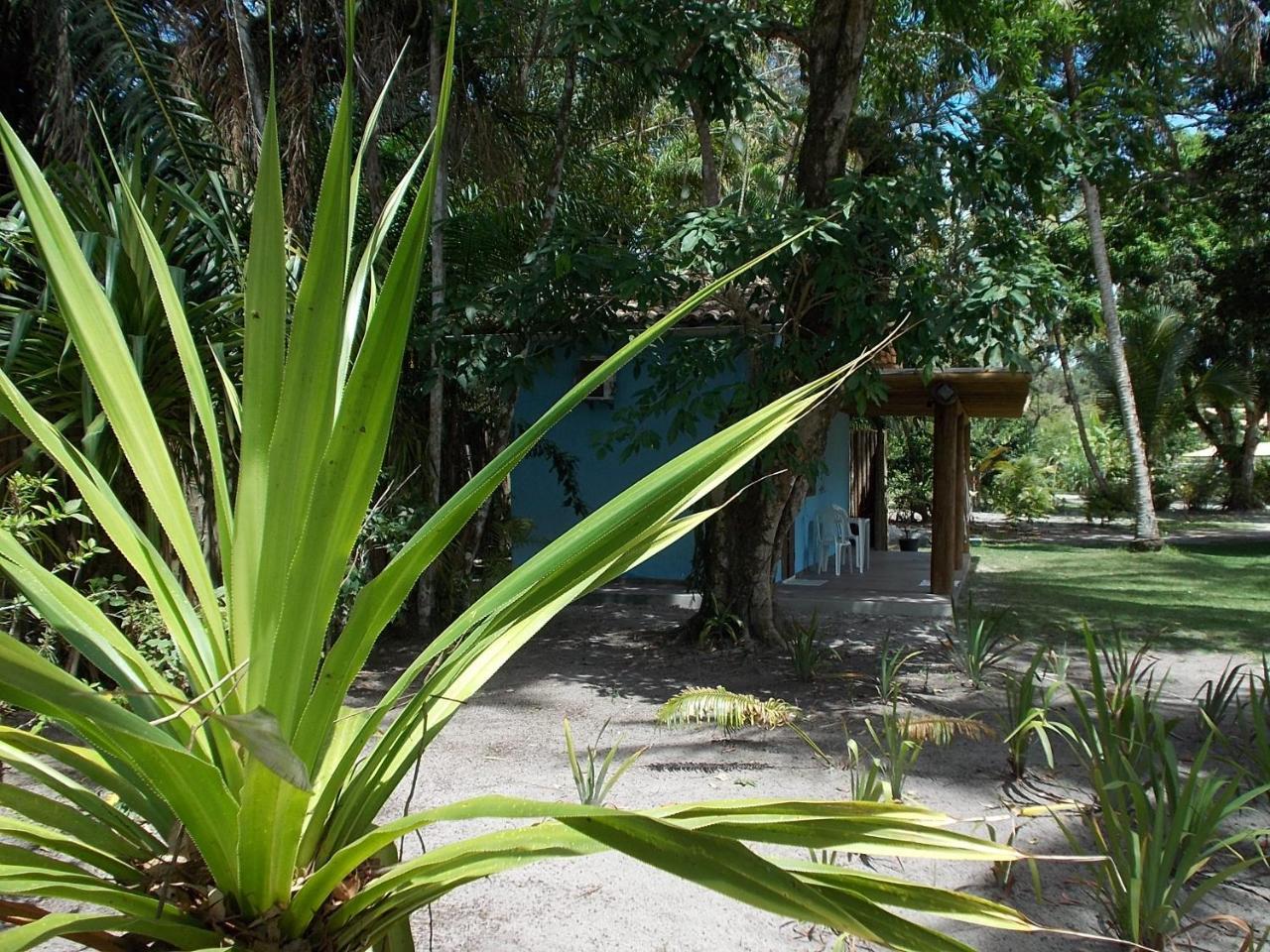 Onca 1024 Villa Trancoso Ngoại thất bức ảnh